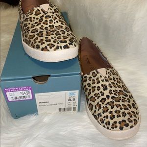 TOMS